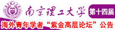 插鸡吧www.www.南京理工大学第十四届海外青年学者紫金论坛诚邀海内外英才！